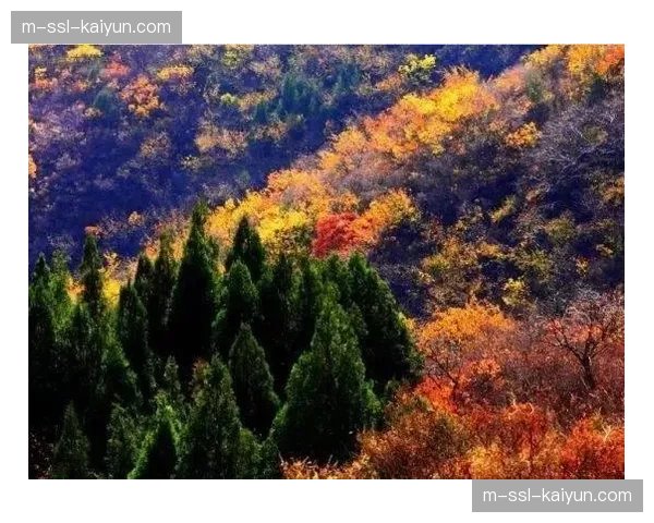 北京门头沟泵道世锦赛场馆建设进度过半